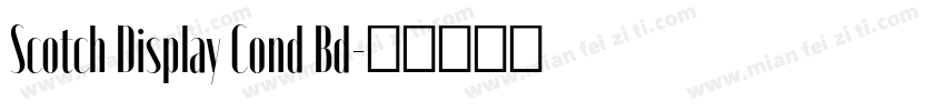 Scotch Display Cond Bd字体转换